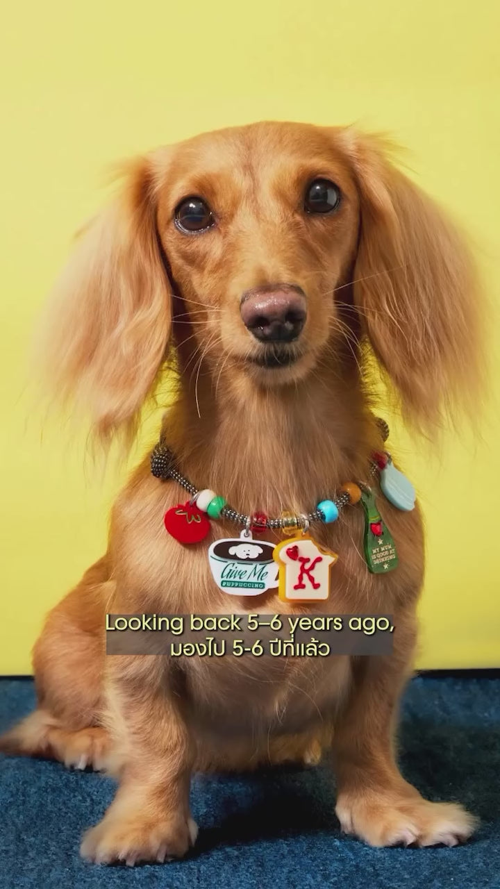 Doggu Studio Visit 1